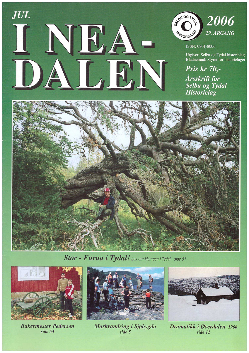Jul i Neadalen 2006