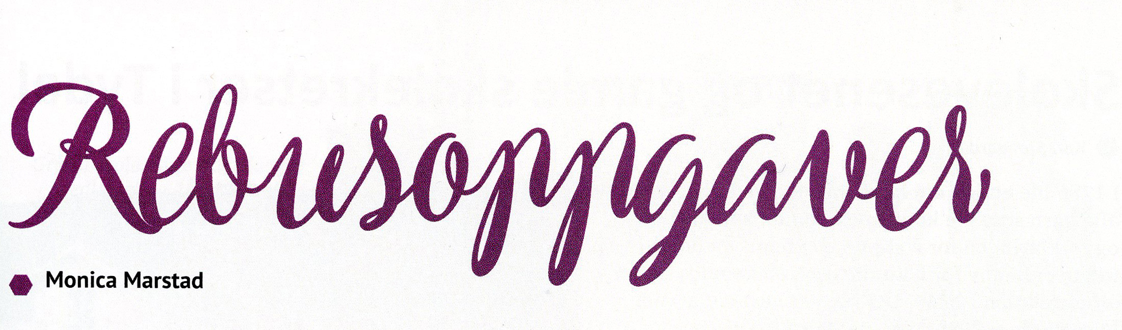 Artikkelbilde til artikkelen Løsninger og vinnere av rebusene i Jul i Neadalen 