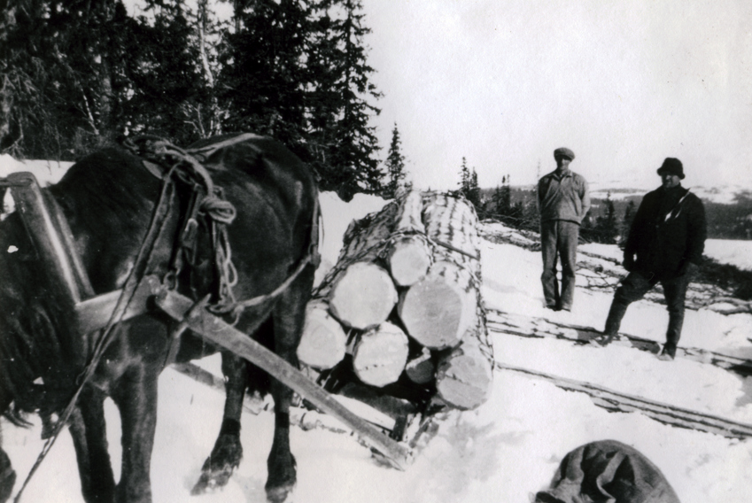 Rapport fra Selbu i Washington Post i 1930